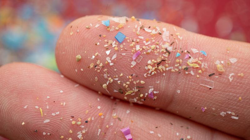 Mikroplastik in Lebensmitteln